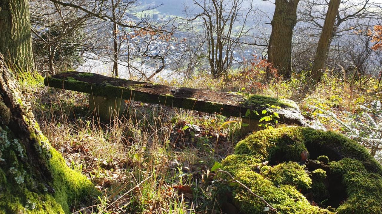 Mosea Lägenhet Zeltingen-Rachtig Exteriör bild