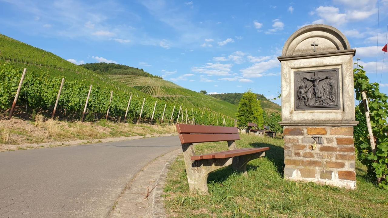 Mosea Lägenhet Zeltingen-Rachtig Exteriör bild